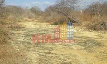 Imagem 2: VENDA! Imóvel Rural com 331 hectares em Carnaubais