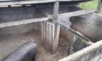 Imagem 5: Sitio com 1.5 Alqueires com Café em Paraiso - Don