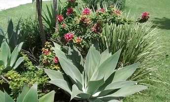 Imagem 5: Imóvel para locação diária ou pacotes em arraial cabo condomínio com piscina