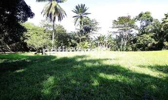 Imagem 5: Venda ou locação Casa Portão Lauro de Freitas