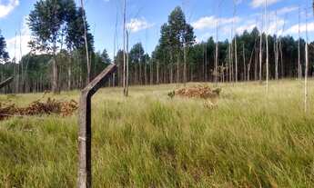 Imagem 2: BOFETE - Chácara - Zona Rural