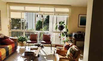 Imagem 5: Paraíso- Oportunidade de compra