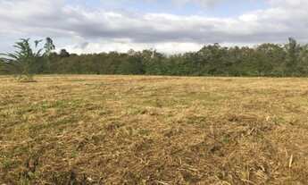 Imagem 7: Propriedade espetacular em aldeia!!! perto do asfalto, com água e muito verde!!!