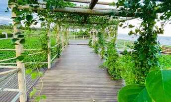 Imagem 4: Lotes em condomínio beira mar na praia do paracho. Rota Ecológica dos Milagres