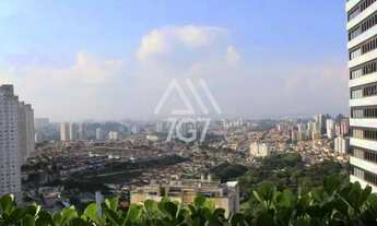 Imagem 3: SÃO PAULO - Apartamento Padrão - MORUMBI