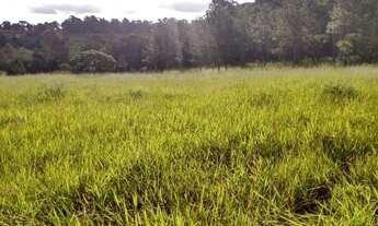 Imagem 3: BOFETE - Chácara - Zona Rural