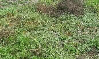 Imagem: TERRENO BARREIRNHAS