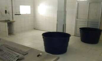 Imagem 7: EMPRESA DE PESCADOS COM 5 CÂMERAS FRIASCentro - Penha - SC