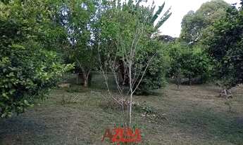 Imagem 4: Chácara Colônia Muricy venda ou permuta