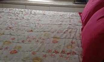 Imagem 2: Direto com proprietária, luxuoso apartamento, 1 suíte, 4 quartos, 3 banheiros, área nobre