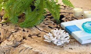 Imagem 5: Mata de São João - Casa Padrão - Praia do Forte