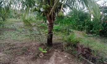 Imagem 5: Vendo uma casa com duas tarefa de terra