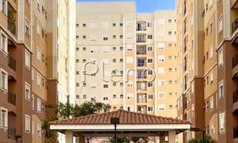 Imagem 3: Apartamento à venda na Vila Industrial - Campinas/SP