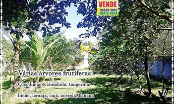 Imagem 3: Fazenda/Sítio/Chácara para venda tem 70 metros quadrados com 2 quartos