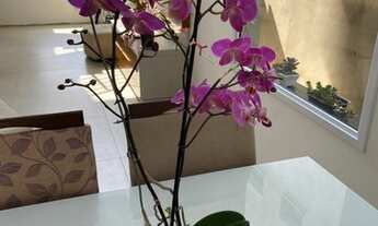 Imagem 5: Casa de Condomínio a venda no Central Park Residence, 03 dormitórios, Vargem Grande Paulis