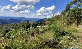 Imagem 3: AREA - MORADA DOS PÁSSAROS - MG