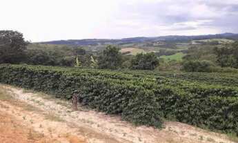 Imagem 2: Sitio com 1.5 Alqueires com Café em Paraiso - Don