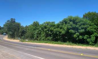 Imagem 3: Sítio frente para o asfalto Fundo com arroio em Gravataí