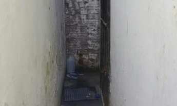 Imagem 4: Aluguel no Conj J S Peixoto