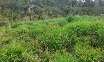 Imagem 6: Vendo Excelente Sitio Em Valença Bahia