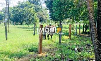 Imagem 2: Fazenda, 73ha, 70km de Formosa-GO, Rio, Gado, Pasto, Formada