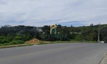 Imagem 5: ALMIRANTE TAMANDARé - Terreno Padrão - Campina do Arruda