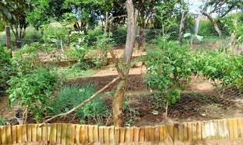 Imagem 7: Chácara 5.000mt/casinha/rancho com fogão caipira/pomar/corrego/energia e poço