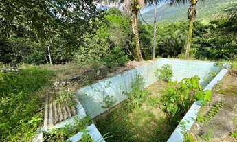 Imagem 6: Sítio em Pedro de Toledo