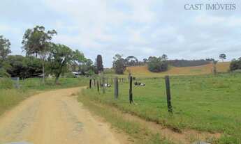 Imagem 7: Chácara à venda, 120000 m² por R$ 1.500.000 - Areia Branca dos Assis - Mandirituba/PR