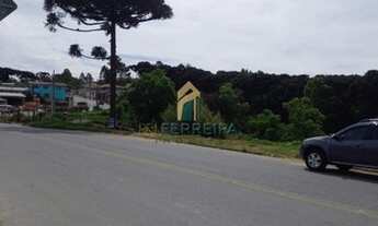 Imagem 4: ALMIRANTE TAMANDARé - Terreno Padrão - Campina do Arruda