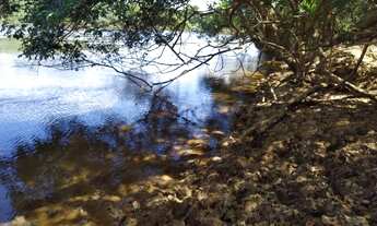 Imagem 3: Fazenda de 260 Hec na Região de Santana - BA