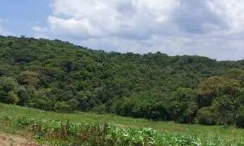 Imagem 3: 03o-1RO7I20 Terreno / lote com venda por R$60.000