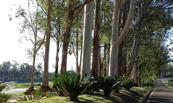 Imagem 4: TERRENO EXTREMAMENTE BEM LOCALIZADO EM CONDOMÍNIO FECHADO EM JAGUARIÚNA - LA DOLCE VITA