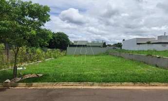 Imagem: Araçatuba - Lote/Terreno - Santa Luzia