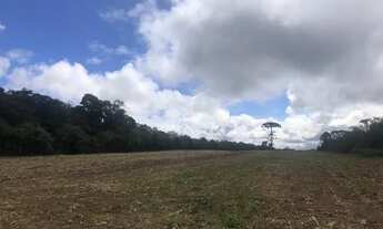 Imagem 2: Terreno Umbara Terreno / lote com venda por R$10.000.000