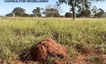 Imagem: Fazenda 30 Alqueires Região De Campina