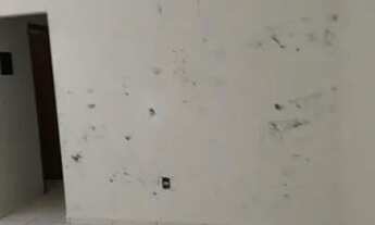 Imagem 3: Apartamento para aluguel tem 57 m2 com 02 quartos no Bairro Jardim Ipanema - Uberlândia