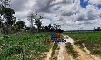 Imagem 7: Fazenda à venda, 19360000 m² - Centro - Costa Marques/RO