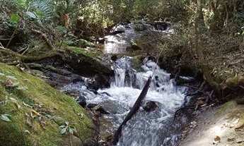 Imagem 3: Chacara 30 mil metros no sul de minas