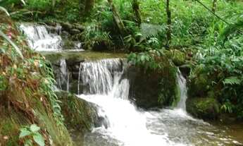 Imagem 3: Oportunidade única em Nova Friburgo. Sítio com.60.000m2. Tel: *