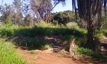 Imagem 5: Chácara Novo Horizonte