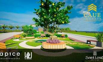 Imagem 2: Saint Louis Terreno / lote com venda por R$91.883