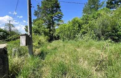 Imagem 7: Terreno em Ponta Grossa