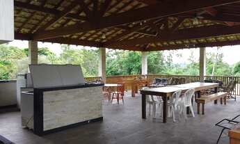 Imagem 5: Chácara pau-brasil !!!