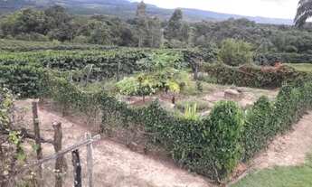 Imagem: Sitio com 1.5 Alqueires com Café em Paraiso