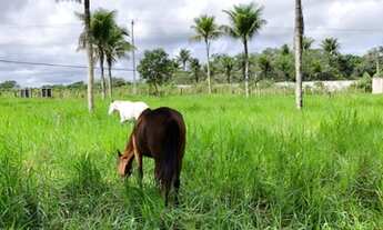 Imagem 2: Vendo 103 mil metros quadrados, no centro industrial de Feira de Santana