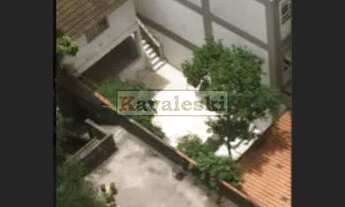 Imagem 6: Sobrado com amplo quintal - 5 dormitórios 2 vagas Miolo Ipiranga - Oportunidade