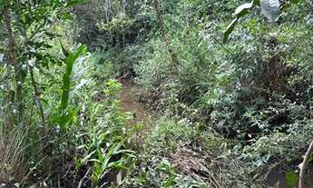 Imagem 7: Vendo sítio 3.8 alqueires(3km da cidade, beira da pista