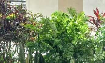 Imagem 2: Apartamento dois quartos, Cond. fechado no Geisel