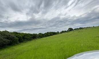 Imagem 3: Vendo sítio 3.8 alqueires(3km da cidade, beira da pista